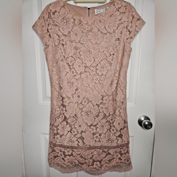 NWOT Calypso Lace Dress in Pink Champagne color, line size M - Picture 1 of 8
